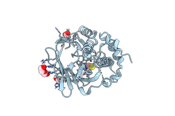 8OSV image