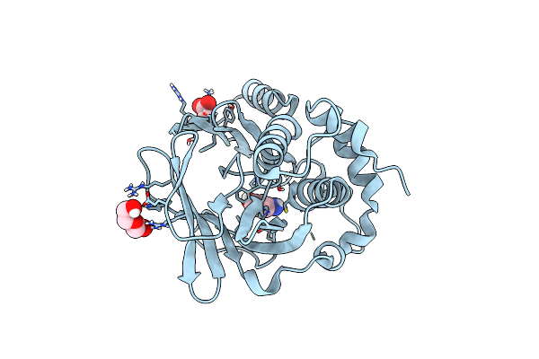 8OSZ image
