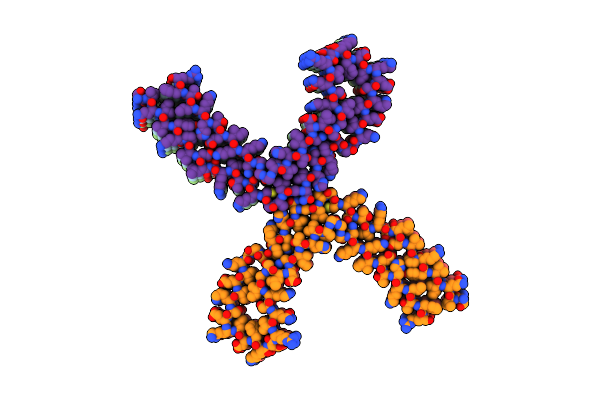 8OTG image