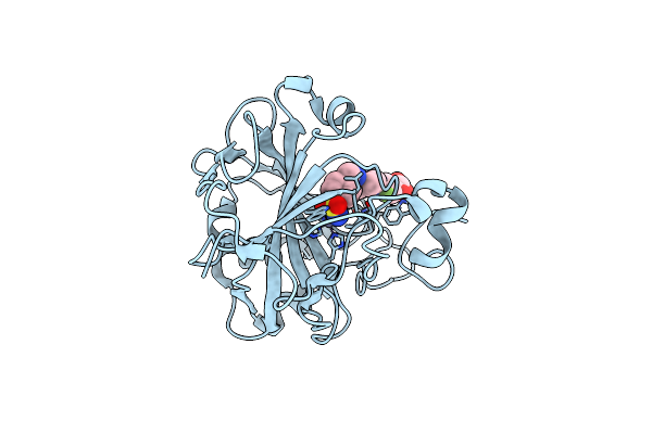 8OUB image