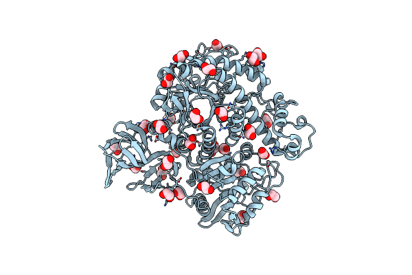 8OUG image