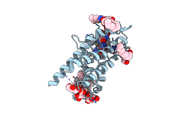 8OVV image