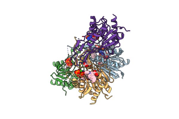 8OWP image