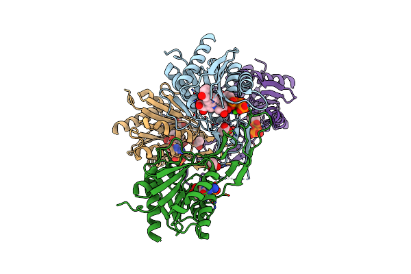8OWR image