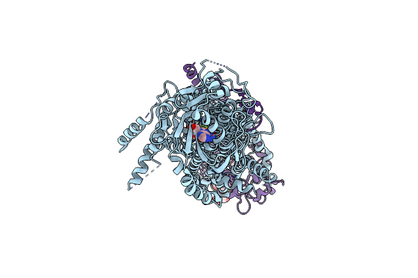 8OX5 image