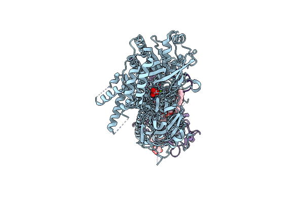 8OXB image