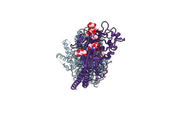 8OXC image