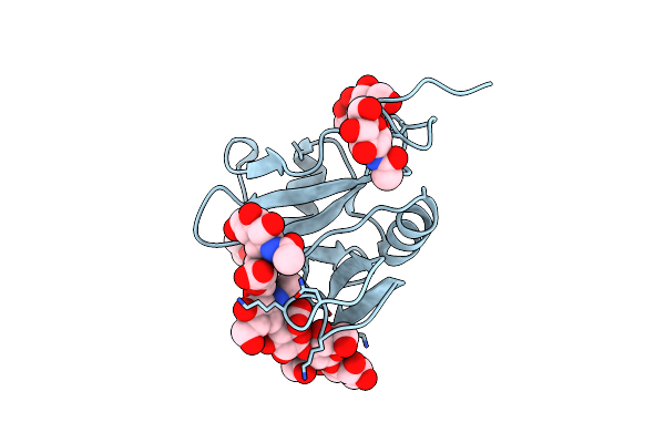 8OXD image