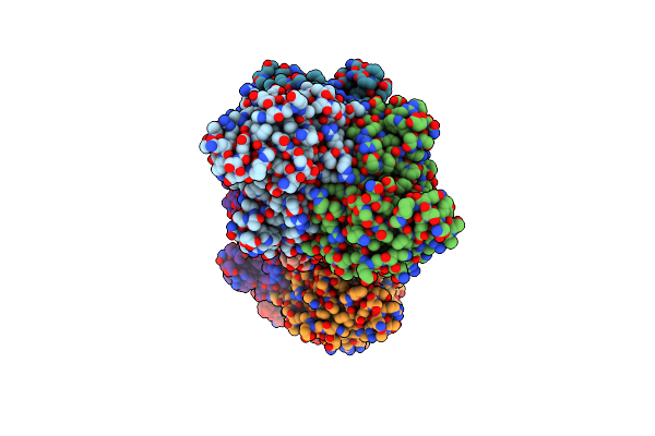 8OXF image