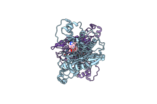 8OXG image