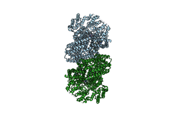 8OXO image