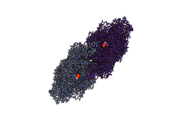 8OXP image