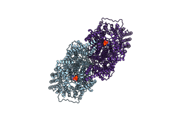 8OXQ image