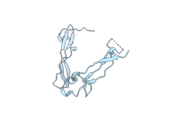 8OXR image