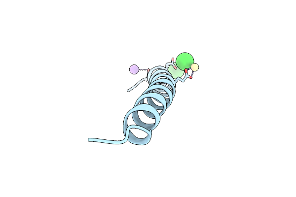 8OYL image