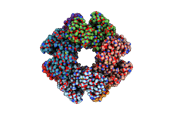 8P00 image