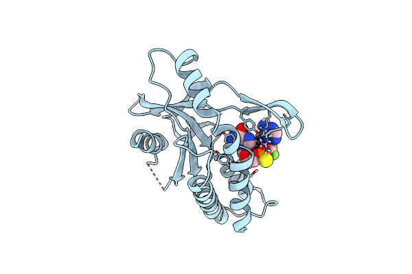 8P01 image