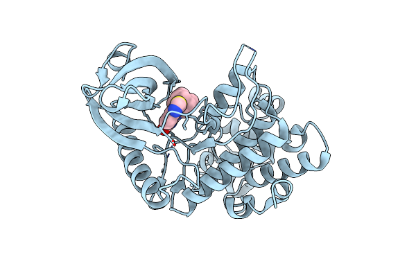 8P04 image