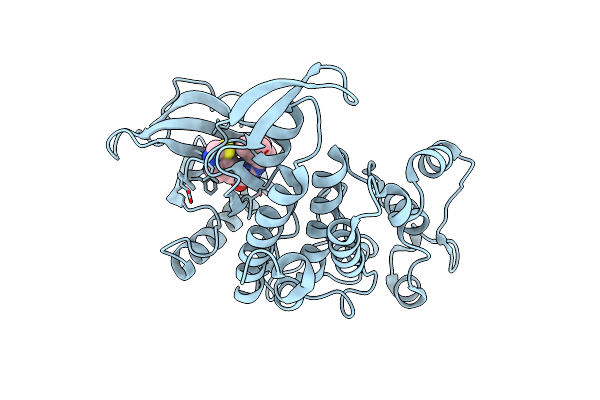 8P08 image