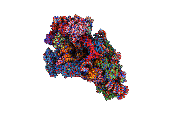 8P09 image