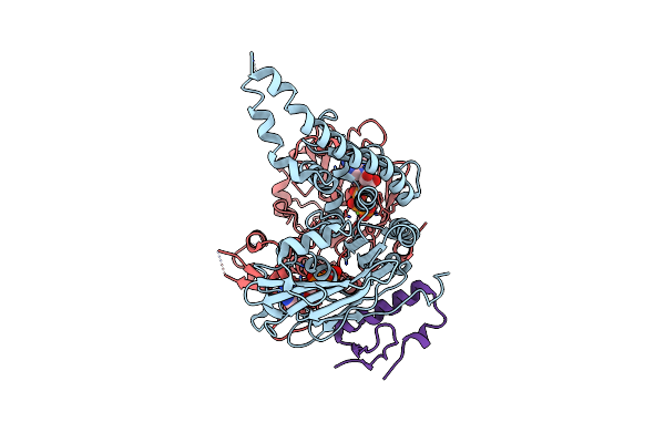 8P0A image