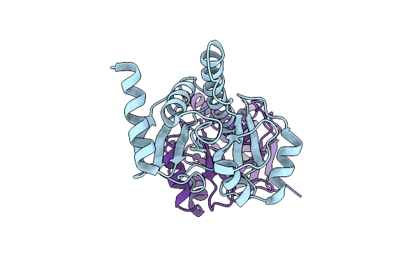 8P0C image