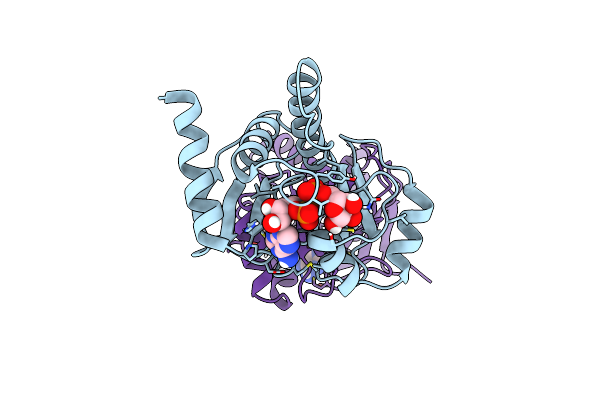 8P0E image