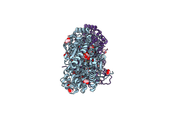 8P0O image