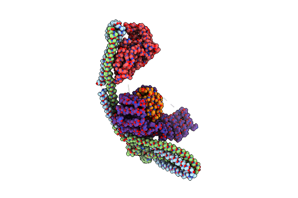 8P0V image