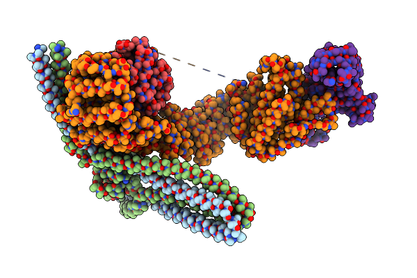 8P0X image