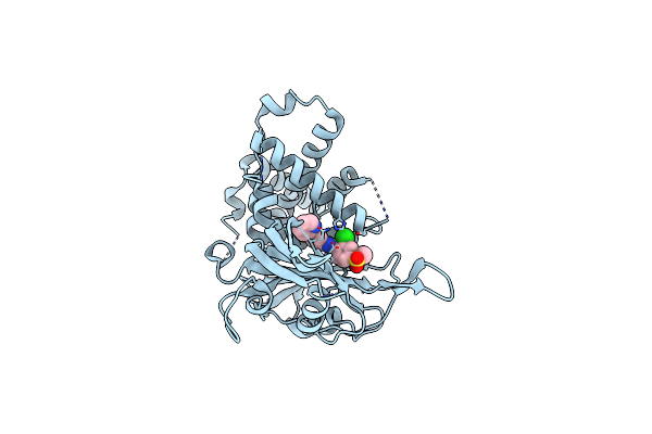 8P14 image
