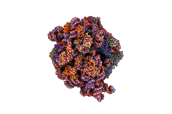 8P17 image