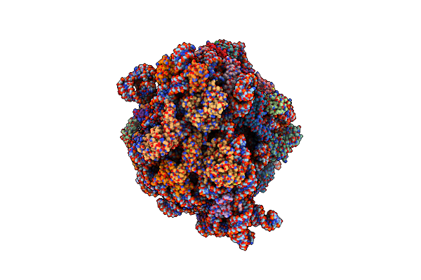 8P18 image