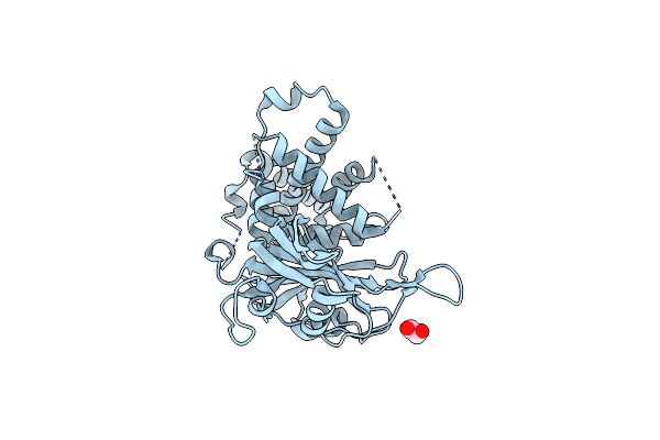 8P19 image