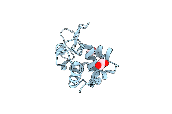 8P1A image