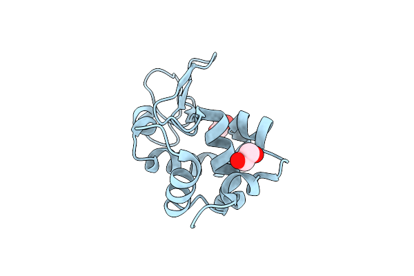 8P1B image