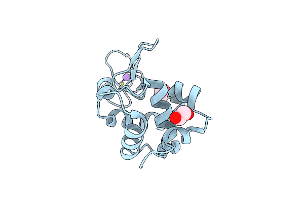 8P1C image