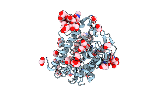 8P1G image