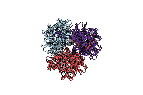 8P1I image