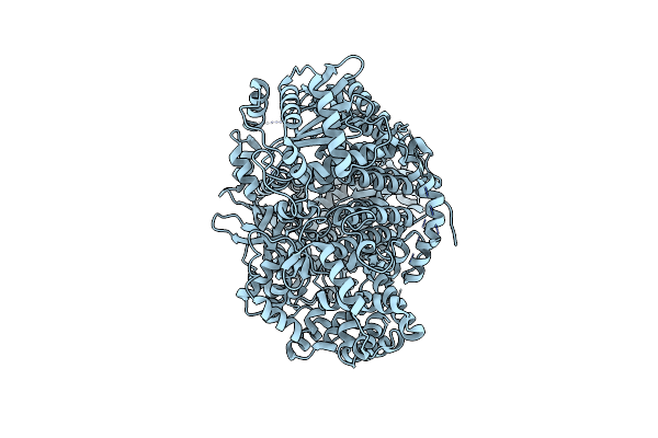 8P1J image