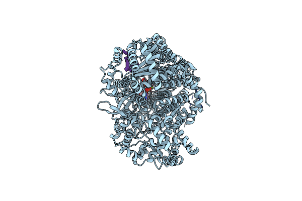 8P1M image