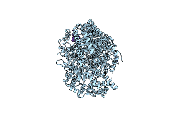8P1N image