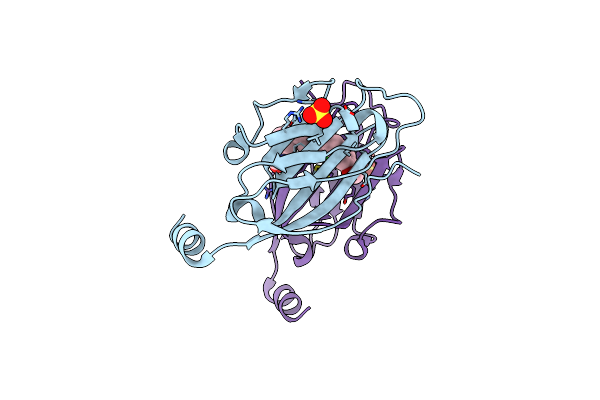 8P1O image