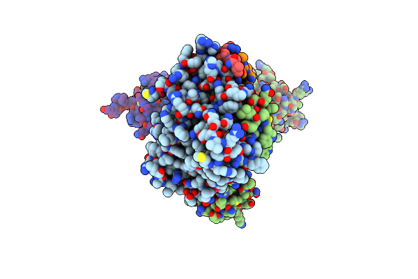 8P1U image