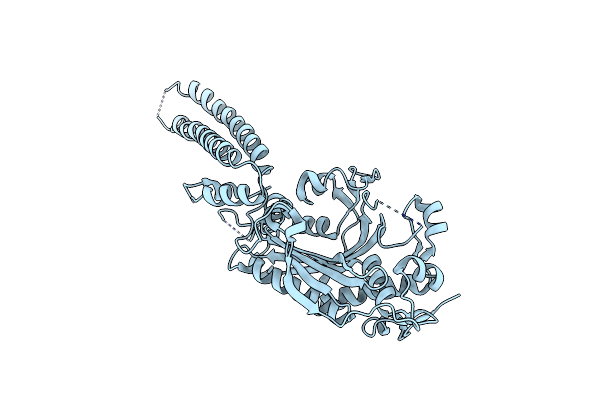 8P1Y image