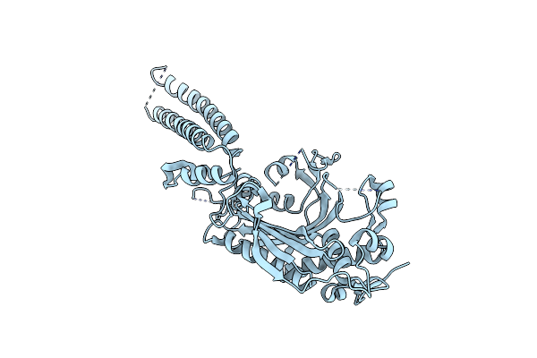 8P1Z image
