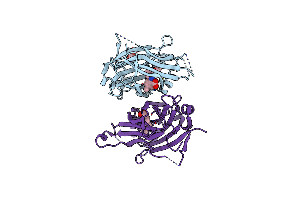 8P29 image