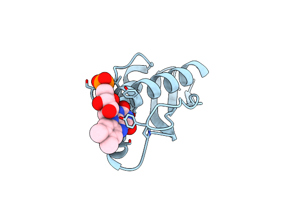 8P2A image