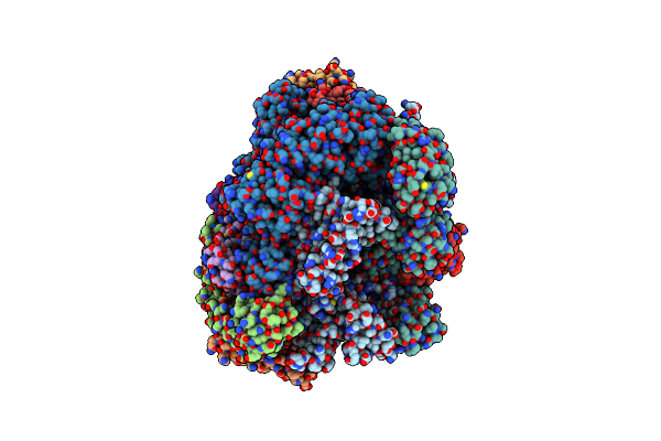 8P2I image