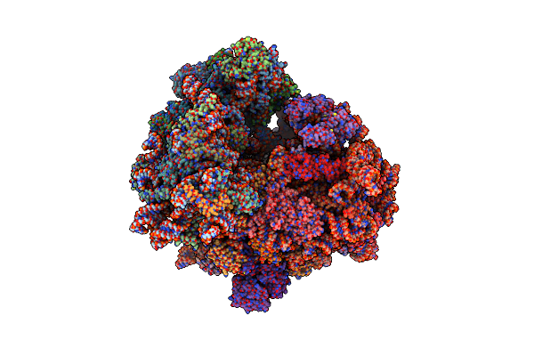 8P2K image